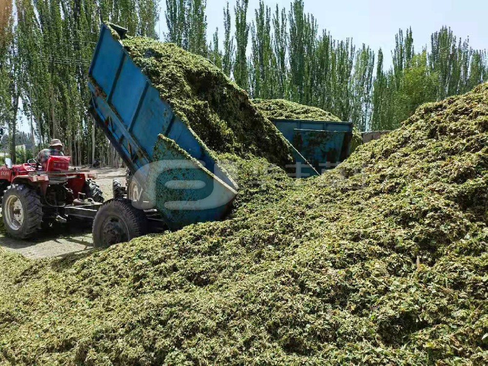 青貯飼料應(yīng)用廣泛，你知道如何鑒定其品質(zhì)好壞么？