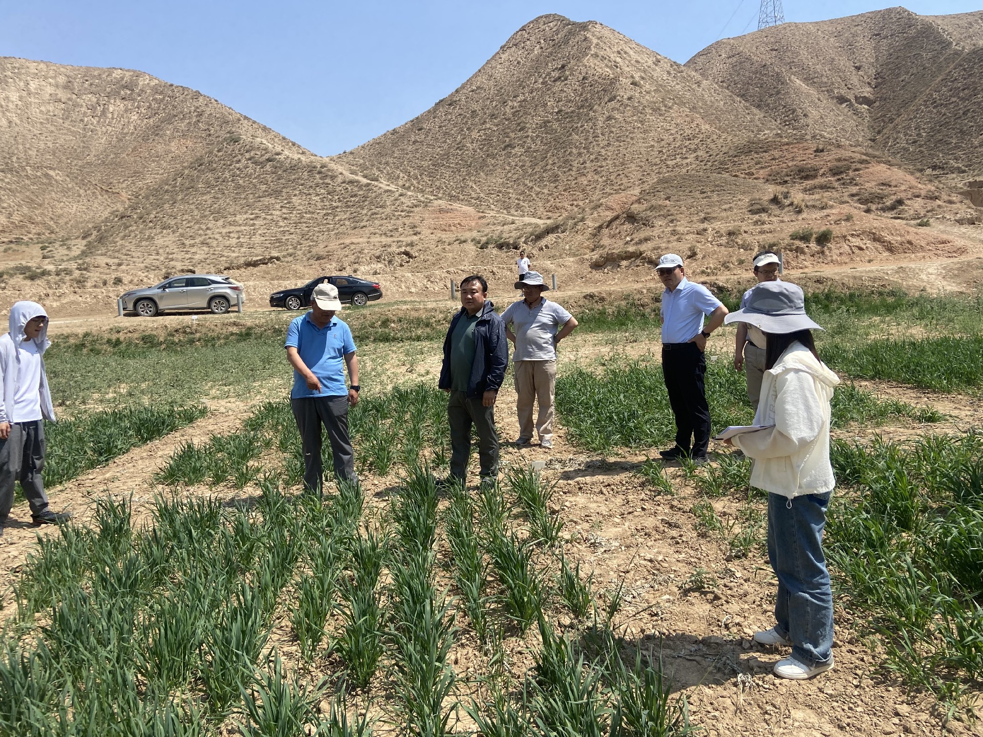 1687057650184983.jpg b1fcbb11a3d490a276e112977f01103.jpg