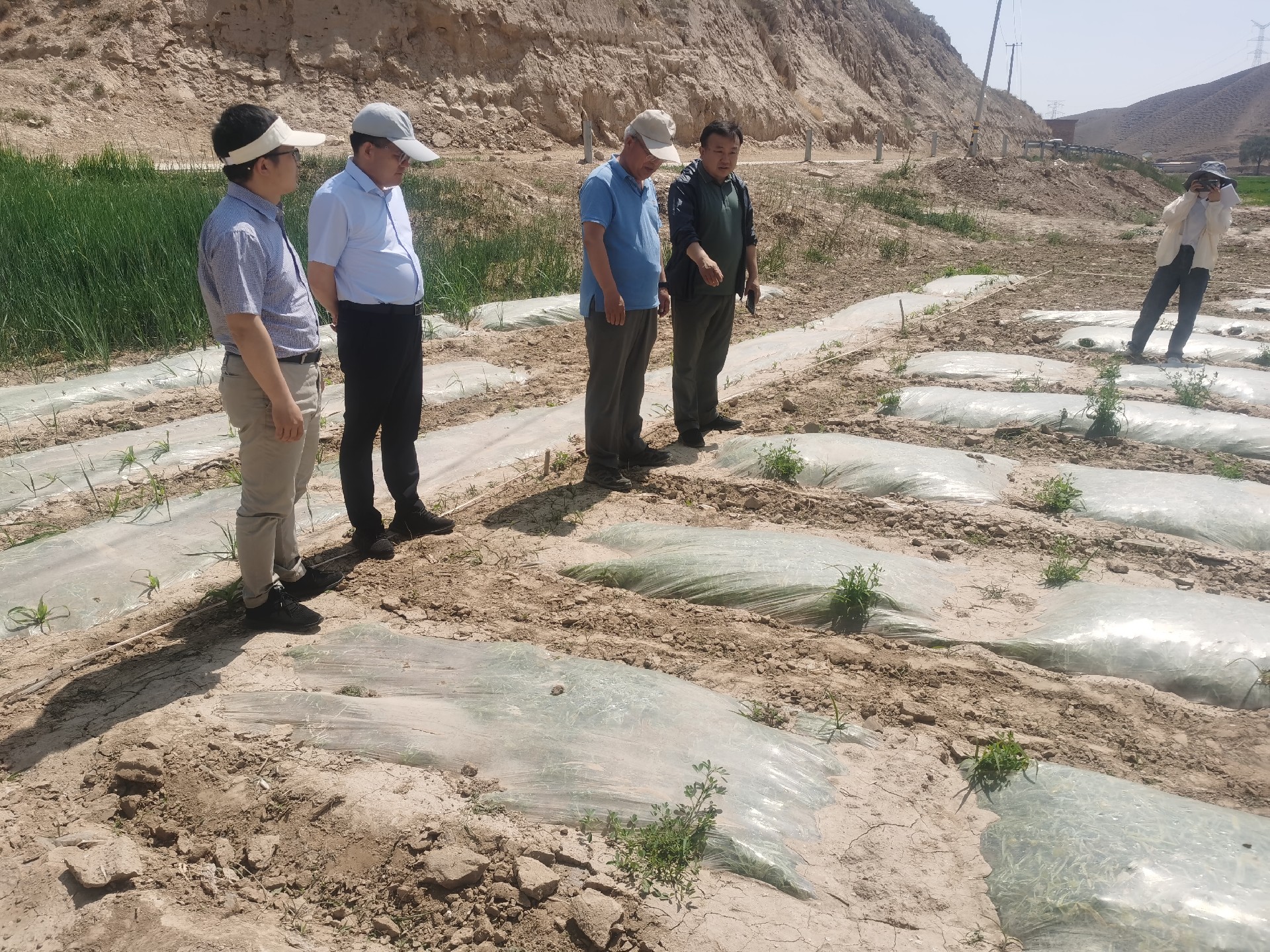 1687057832105060.jpg f4e259bb3d732ef013477d231dfbab4.jpg