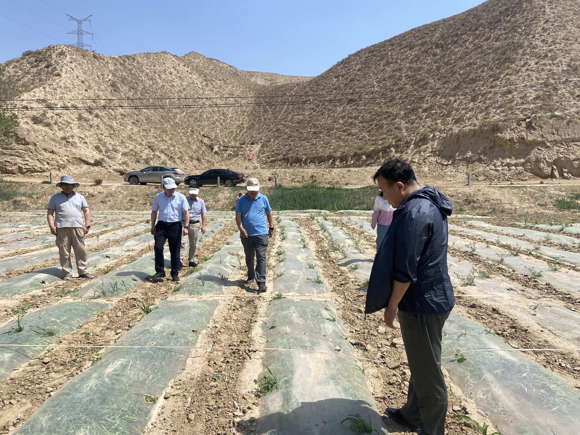 1687057853122959.jpg 52c1573a6e34ffb6ebbd2582b8f5f22.jpg