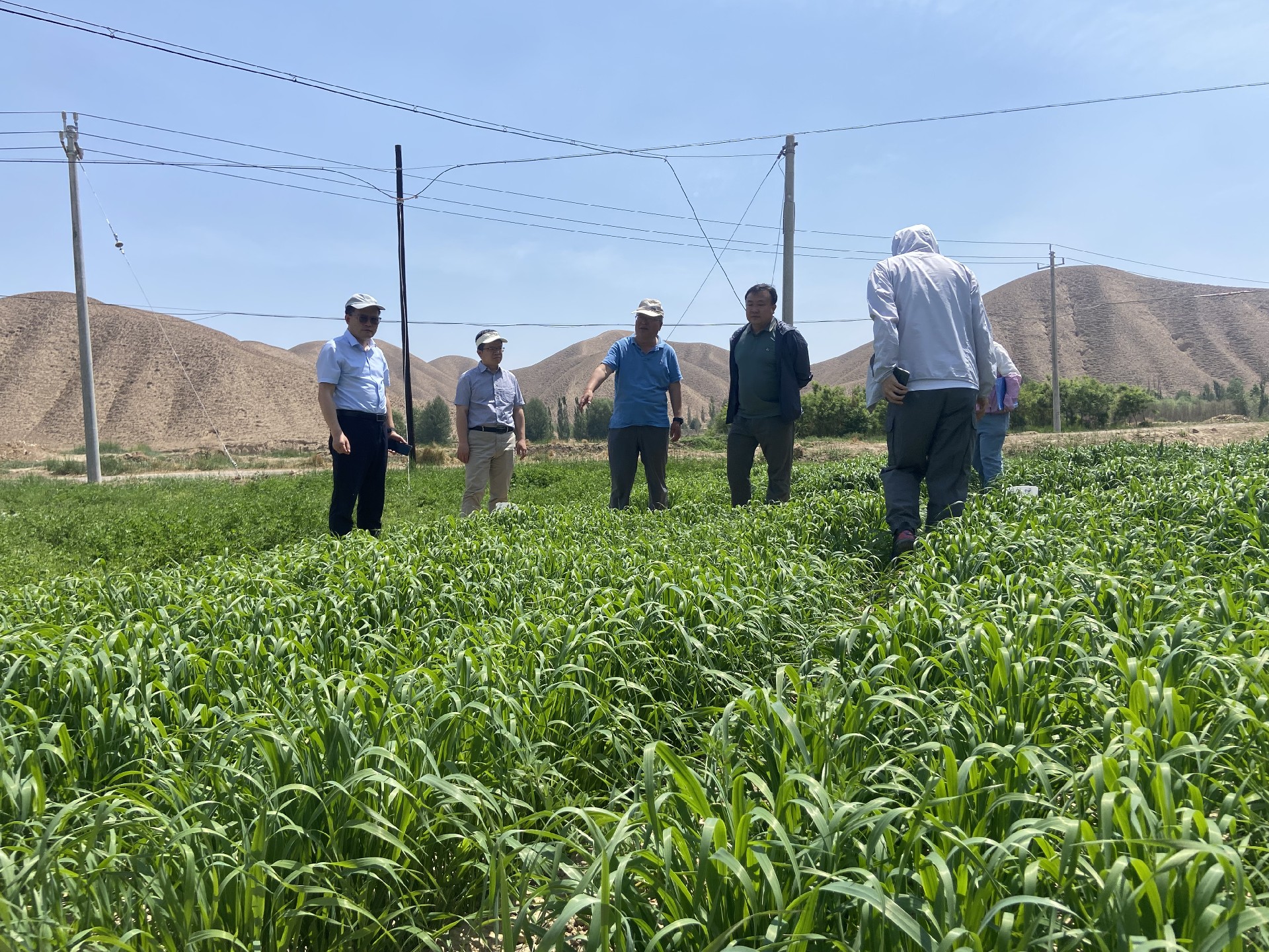 1687057874165519.jpg 9ddee438fa82b89d807d718de7c5d37.jpg