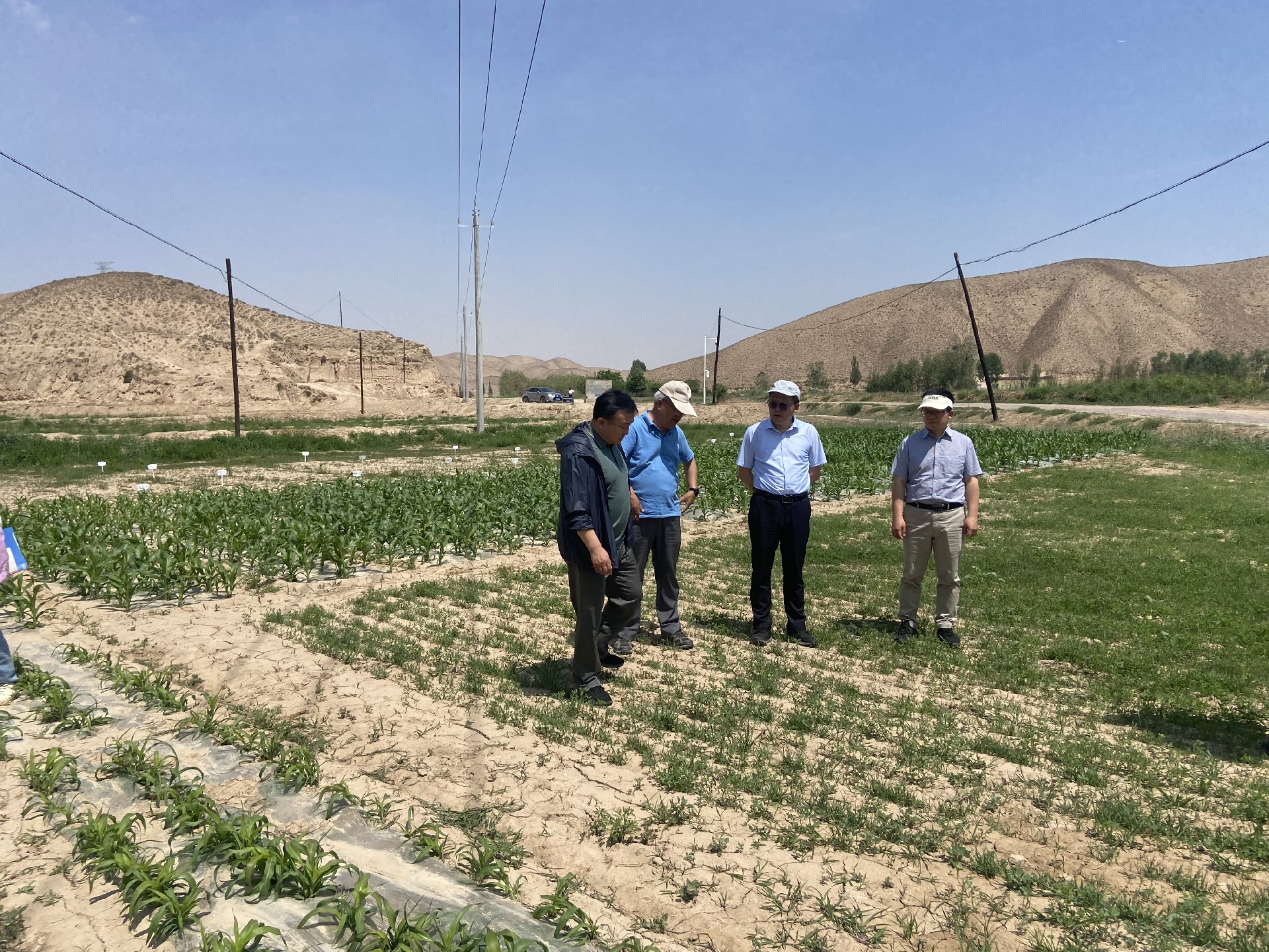 1687057997979946.jpg 969fc9b3b770cc3c7e9171bd3e87c50.jpg