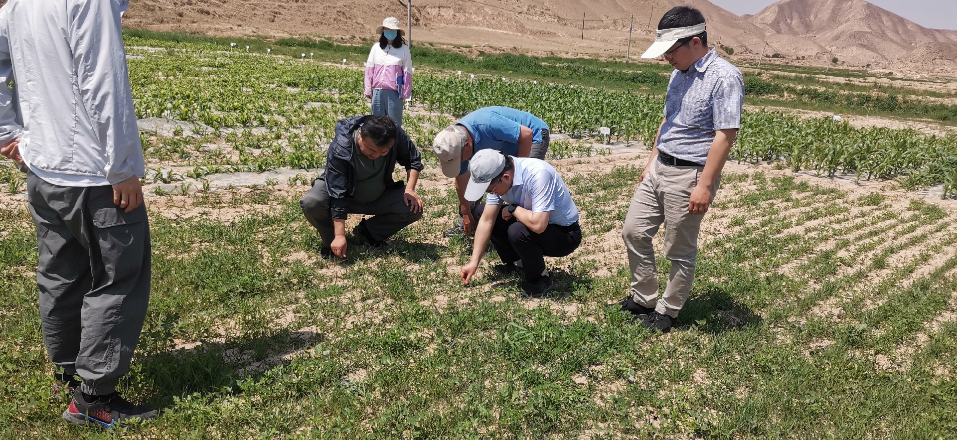 1687058010487291.jpg 30c9370c5ea438483b74849d0371a4a.jpg