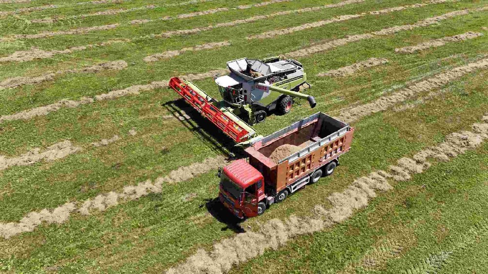 夏收好“豐”景！新疆各基地草種開鐮收割